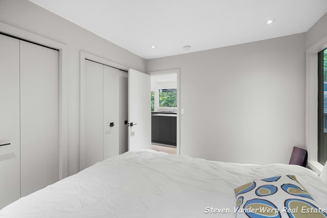 5185 W Nurnberg Rd, Michigan, MI 49411 - bedroom with multiple windows, multiple closets, and recessed lighting