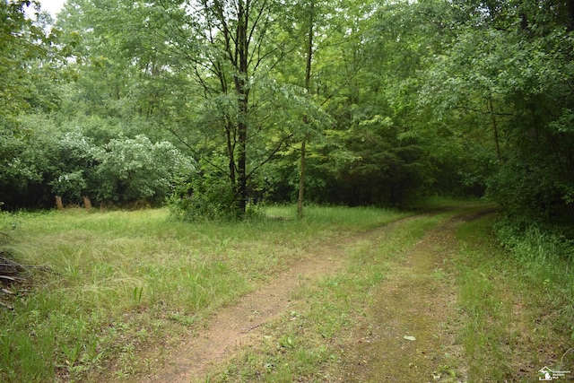 13151 Tuttlehill Rd, Milan, MI 48160