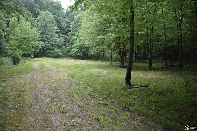 13151 Tuttlehill Rd, Milan, MI 48160