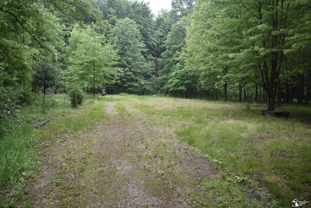 13151 Tuttlehill Rd, Milan, MI 48160