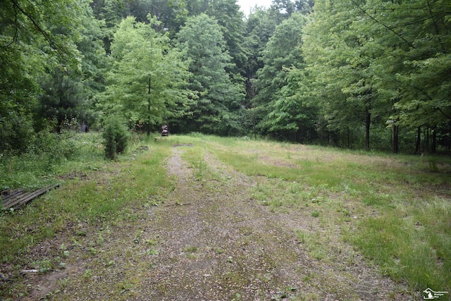 13151 Tuttlehill Rd, Milan, MI 48160