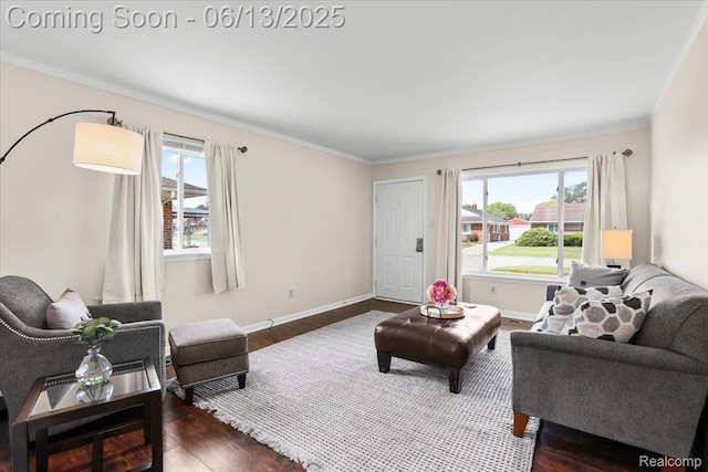 9243 Cornell St, Plymouth, MI 48180 - living room with plenty of natural light, dark wood-style floors, and ornamental molding