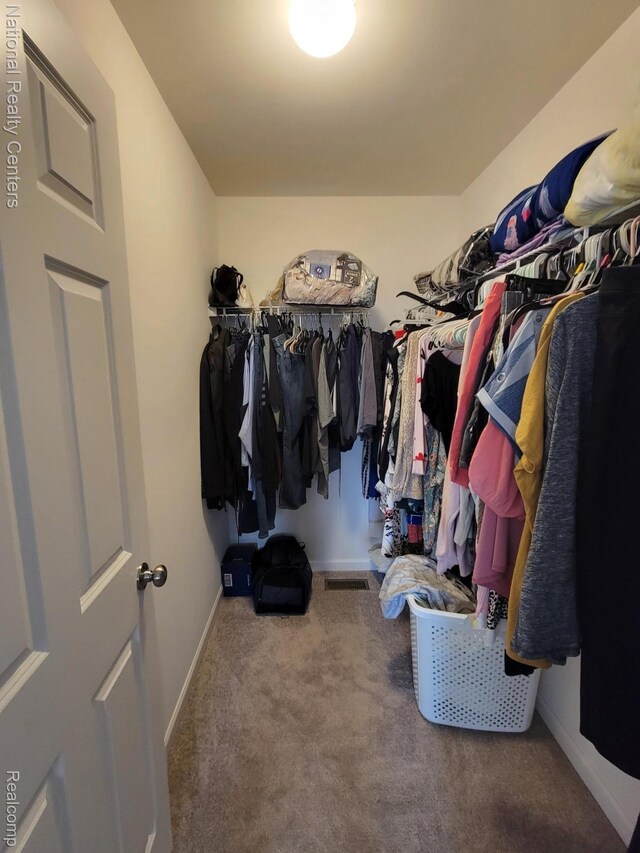 51485 Maple Leaf Dr, Macomb, MI 48042 - walk in closet with carpet
