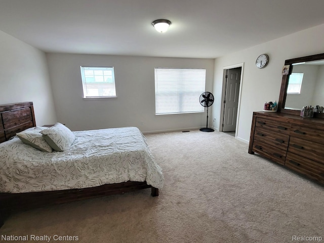 51485 Maple Leaf Dr, Macomb, MI 48042 - carpeted bedroom with baseboards