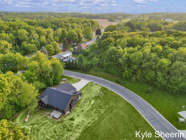 8060 Hunters Xing, Kalamazoo, MI 49009 - bird's eye view of a forest