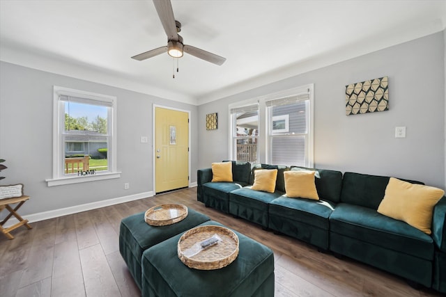 289 Newport St, Detroit, MI 48215 - living room with ceiling fan, hardwood / wood-style flooring, and baseboards
