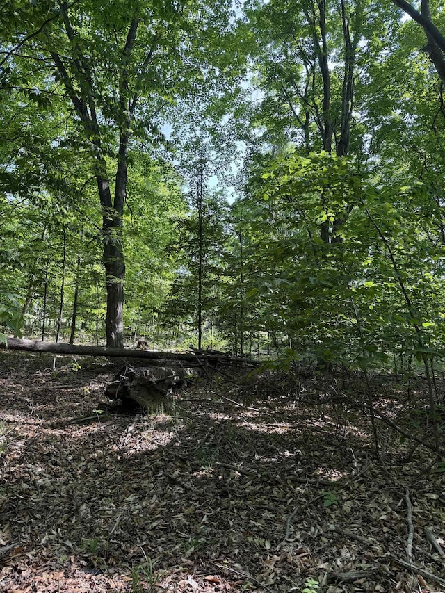 0000 Mooney Way, Kewadin, MI 49648