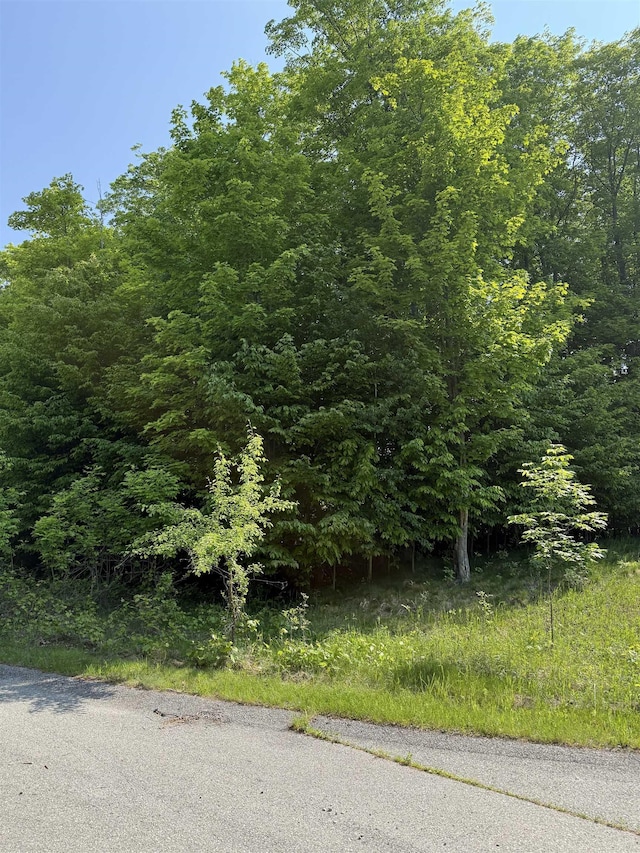 0000 Mooney Way, Kewadin, MI 49648