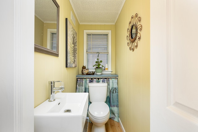 114 W Grove Ave, Michigan Center, MI 49254 - bathroom with ornamental molding, toilet, wood finished floors, and a sink