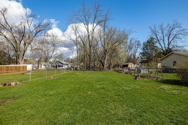 114 W Grove Ave, Michigan Center, MI 49254 - view of yard