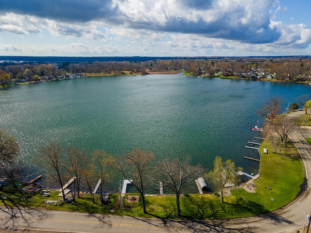 114 W Grove Ave, Michigan Center, MI 49254 - drone / aerial view of a large body of water