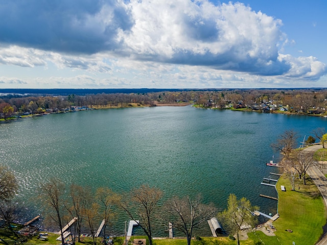 114 W Grove Ave, Michigan Center, MI 49254 - water view