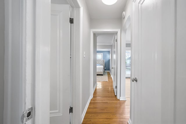 4422 Groveland Ave, Royal Oak, MI 48073 - corridor featuring light wood-type flooring, baseboards, and ornamental molding