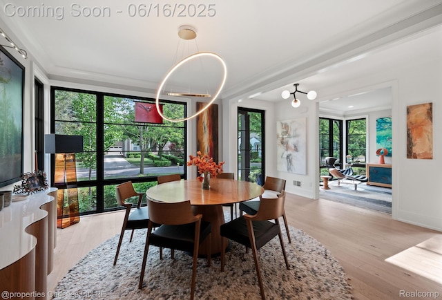 1044 Hazel, Birmingham, MI 48009 - dining area featuring light wood finished floors and a chandelier