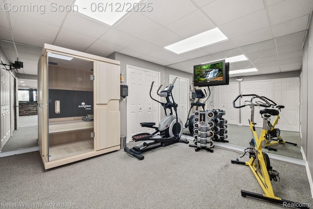 10993 Stoney Point Dr, South Lyon, MI 48178 - workout area featuring a drop ceiling and carpet flooring