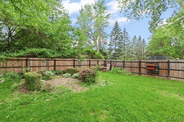 345 Alexander Dr, Adrian, MI 49221 - view of yard