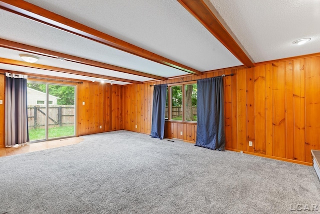 345 Alexander Dr, Adrian, MI 49221 - carpeted empty room featuring beam ceiling, wooden walls, and a textured ceiling