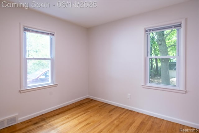17330 Five Points St E, Dearborn, MI 48240 - empty room featuring healthy amount of natural light and light wood-style flooring