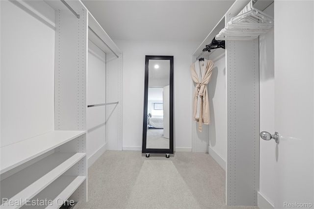 3856 Pine Lake Knoll Dr, West Bloomfield, MI 48324 - spacious closet with carpet