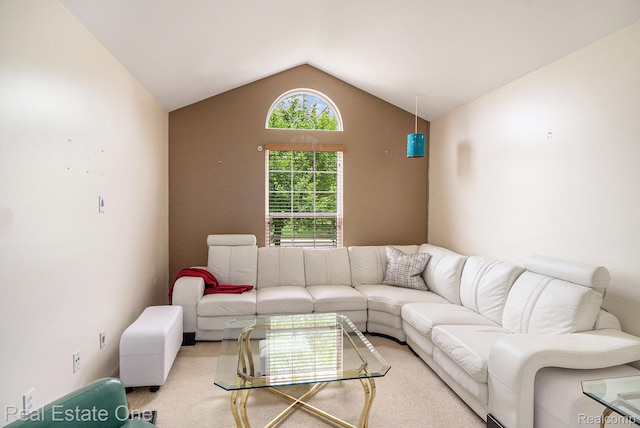 1130 Andover Cir, Commerce Twp, MI 48390 - carpeted living room featuring vaulted ceiling