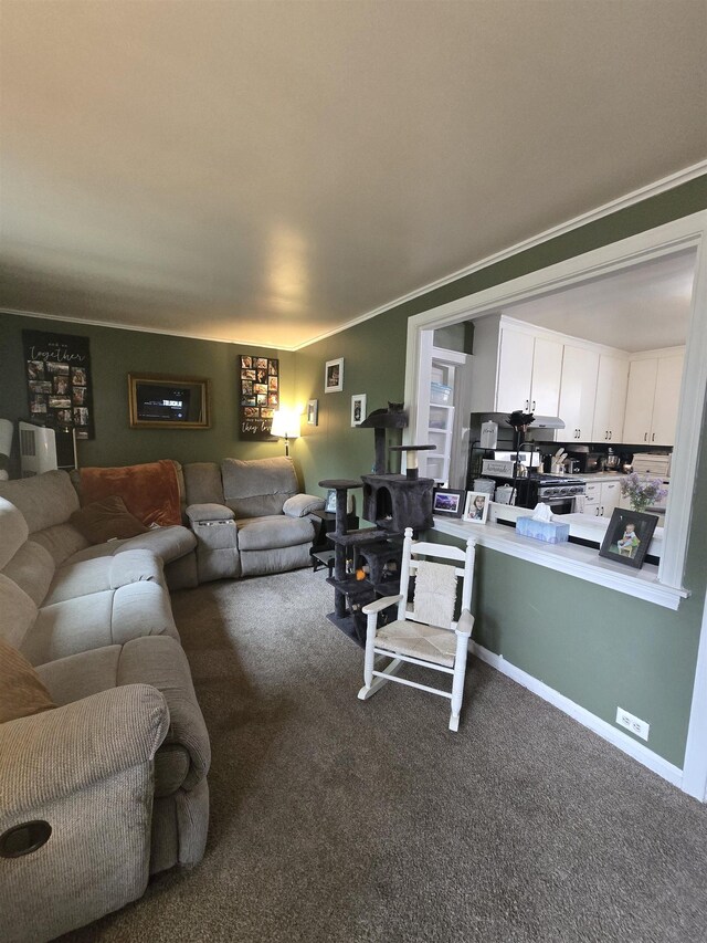 415 E Harris St, Cadillac, MI 49601 - photo 44