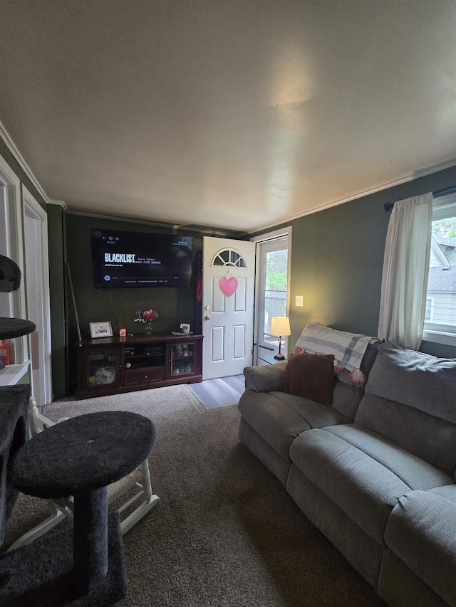 415 E Harris St, Cadillac, MI 49601 - photo 45