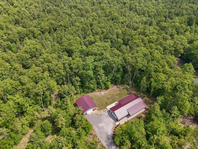 1304 Michillinda Rd, Muskegon, MI 49445 - drone / aerial view of a forest
