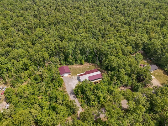 1304 Michillinda Rd, Muskegon, MI 49445 - bird's eye view of a heavily wooded area