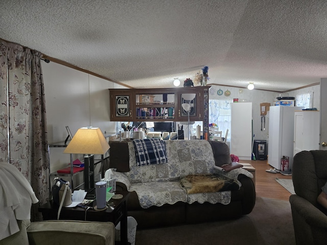 2317 Shamrock Ln, Muskegon, MI 49442 - living room with ornamental molding, wood finished floors, a textured ceiling, and lofted ceiling