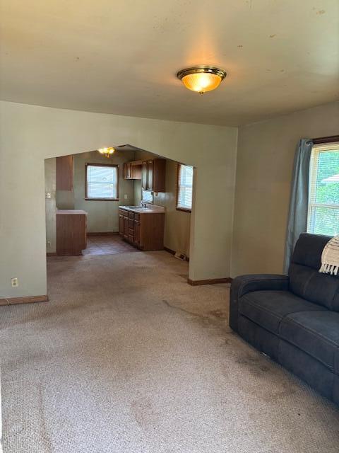 408 Hill St, Buchanan, MI 49107 - living area featuring light carpet, plenty of natural light, and baseboards