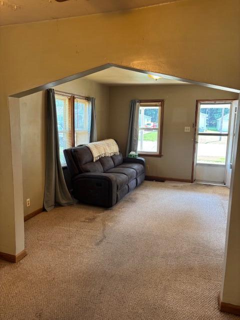 408 Hill St, Buchanan, MI 49107 - living room featuring light colored carpet and baseboards