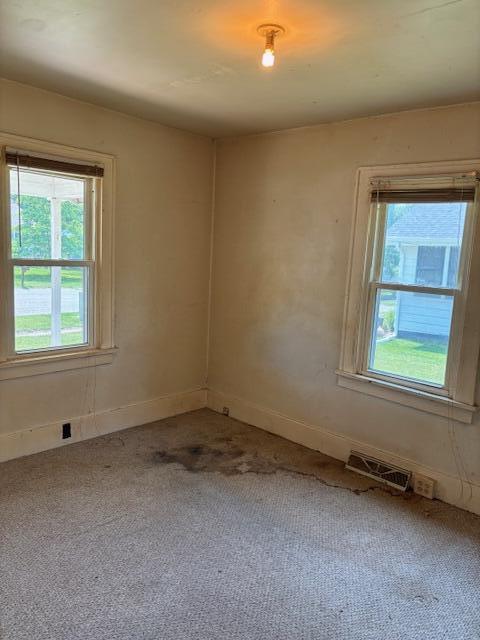 408 Hill St, Buchanan, MI 49107 - spare room with carpet flooring and baseboards