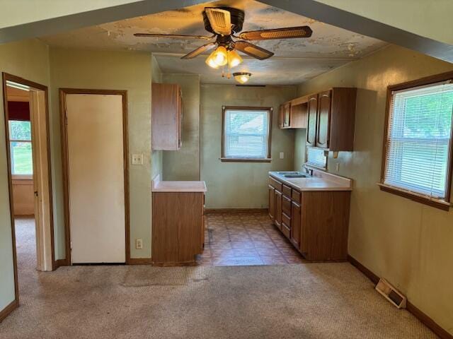 408 Hill St, Buchanan, MI 49107 - kitchen featuring healthy amount of natural light, light countertops, and light carpet