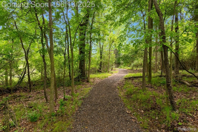 1373 Peppergrove Dr, Brighton, MI 48116 - photo 30