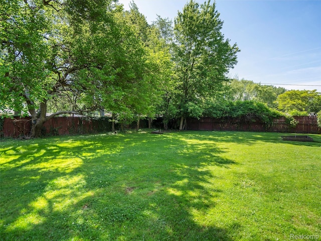 28212 Shock St, Saint Clair Shores, MI 48081 - view of yard