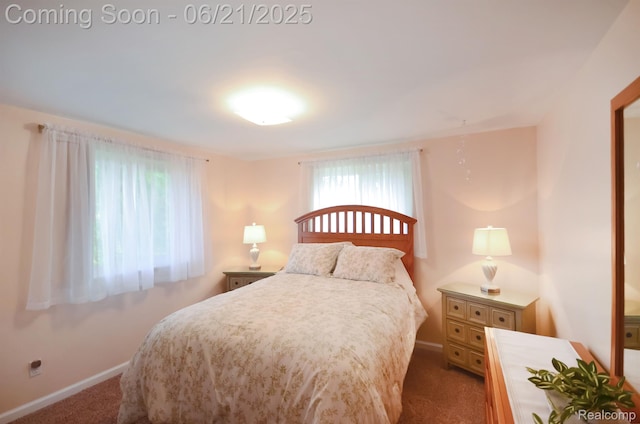 43475 Deborah Dr, Sterling Heights, MI 48313 - bedroom featuring carpet and baseboards