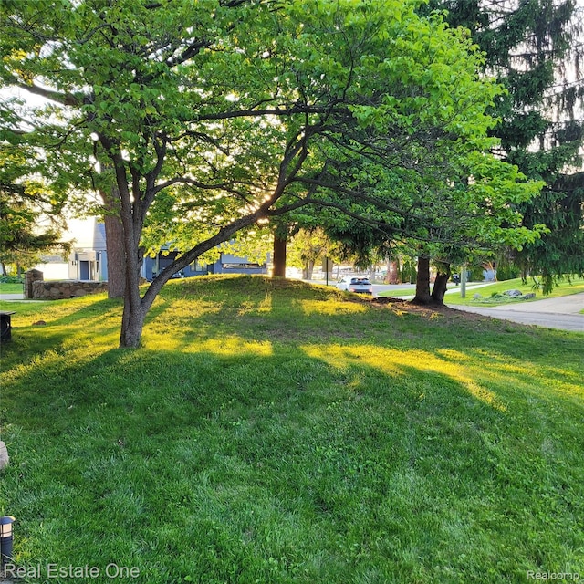 5208 Woodview Dr, Bloomfield Hills, MI 48302 - view of green lawn
