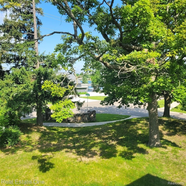 5208 Woodview Dr, Bloomfield Hills, MI 48302 - view of grassy yard