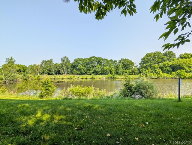 51 Green Vly, Flint, MI 48506 - photo 27
