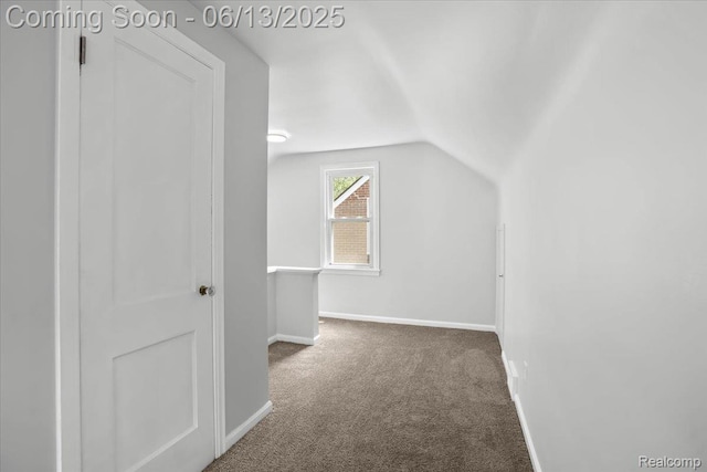 1630 N Denwood St, Dearborn, MI 48128 - bonus room with vaulted ceiling and carpet