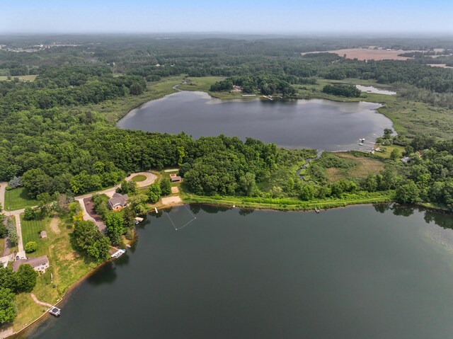 295 W Shore Dr, Jerome, MI 49249 - photo 92