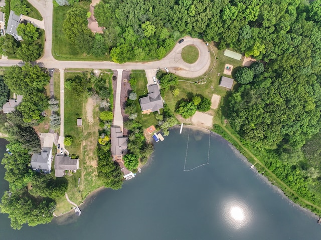 295 W Shore Dr, Jerome, MI 49249 - photo 93