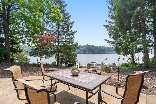 295 W Shore Dr, Jerome, MI 49249 - photo 76