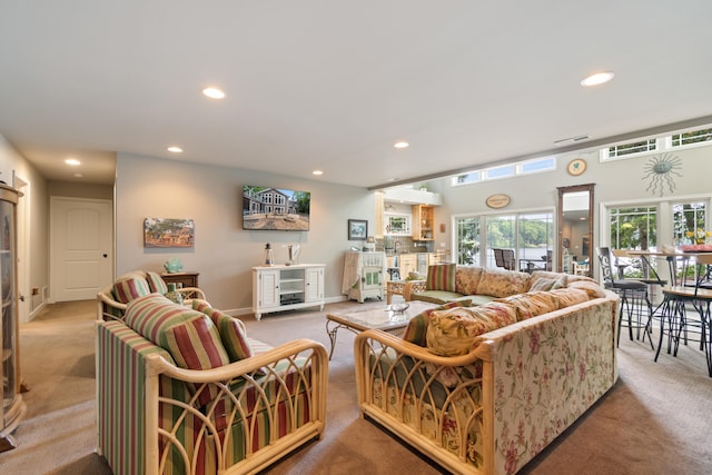 295 W Shore Dr, Jerome, MI 49249 - photo 50