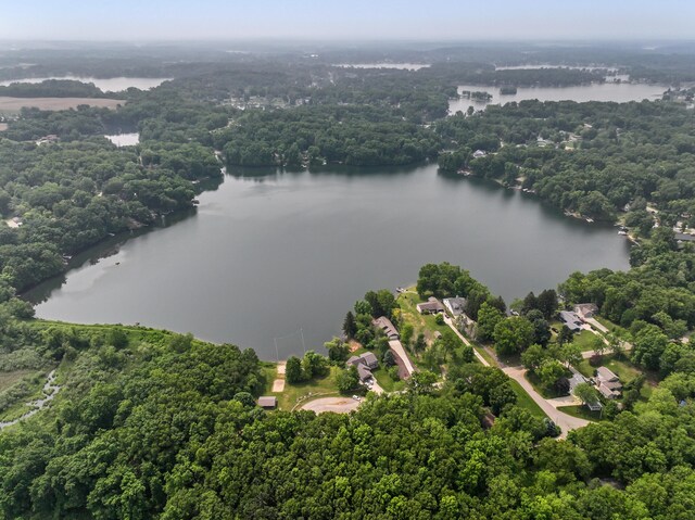 295 W Shore Dr, Jerome, MI 49249 - photo 101