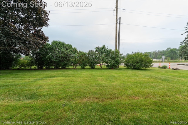 49904 Helfer Blvd, Wixom, MI 48393 - view of grassy yard