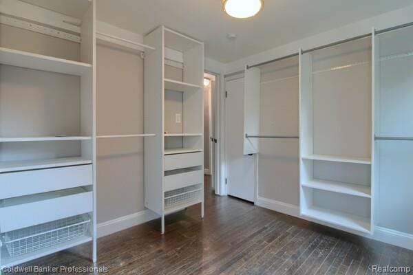 25811 Briarbank Ave, Southfield, MI 48033 - view of closet