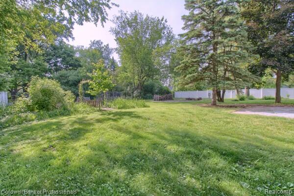 25811 Briarbank Ave, Southfield, MI 48033 - view of yard