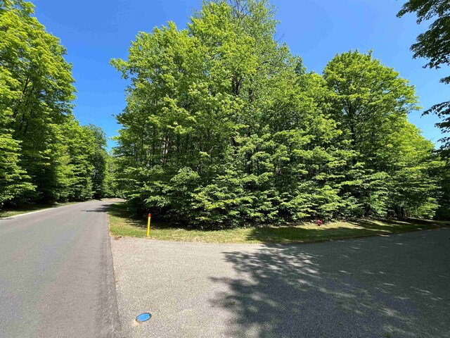 V/L144 Troon S, Bellaire, MI 49615