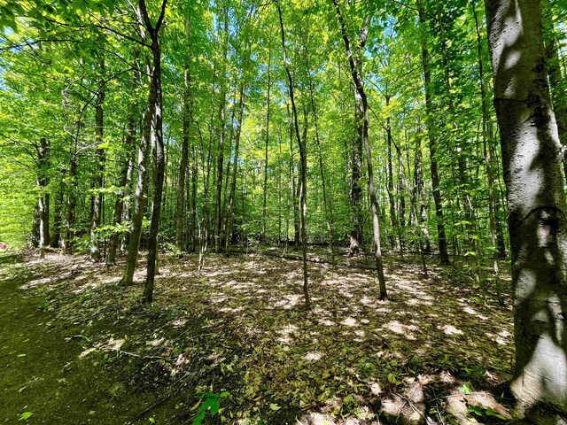 V/L144 Troon S, Bellaire, MI 49615